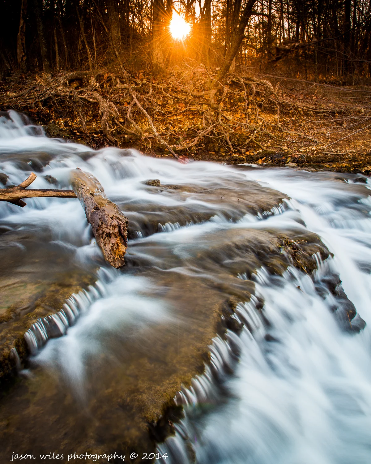 Connecting with nature is balm for my wounded soul 