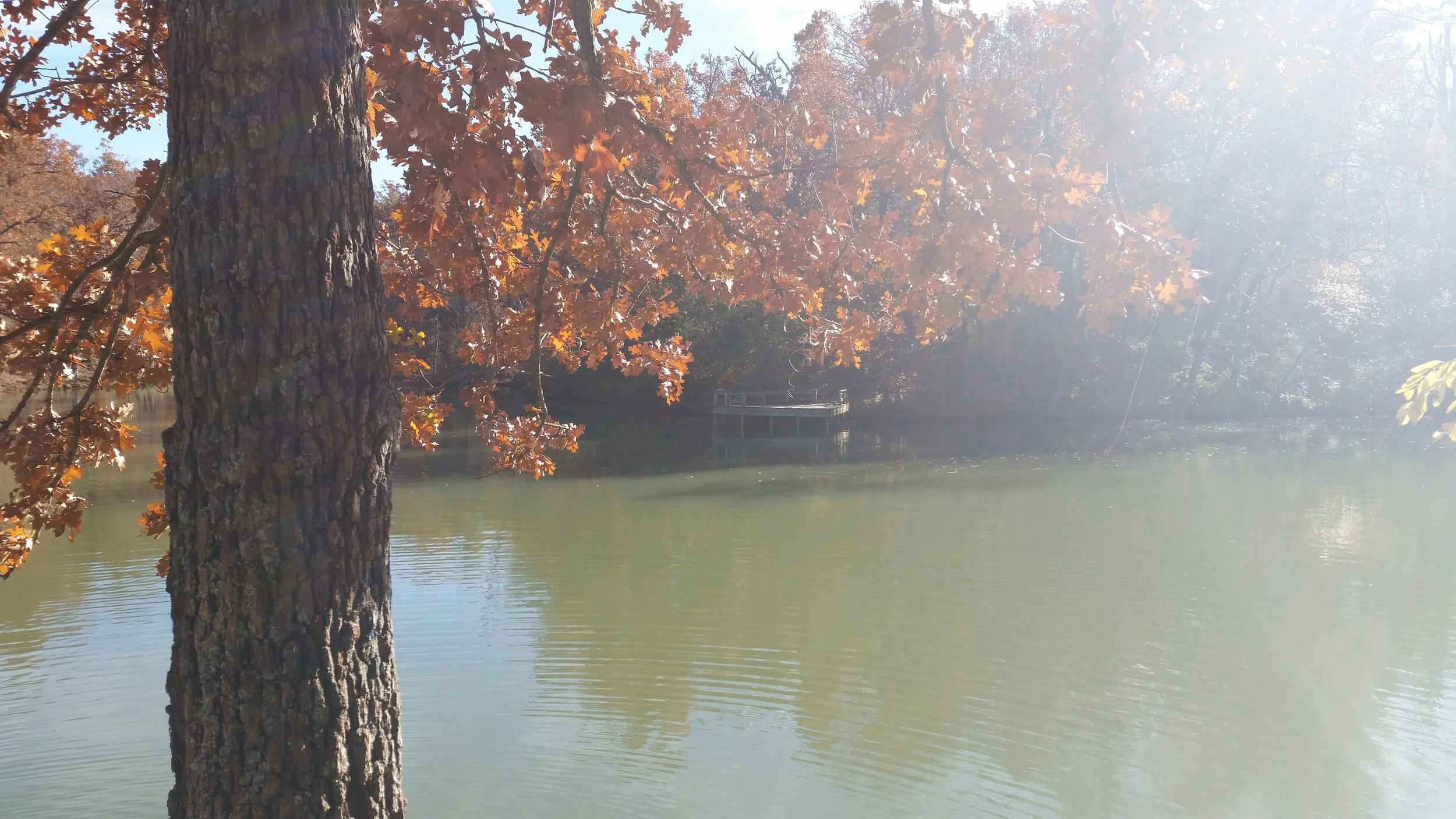 Spending time in nature is healing for me