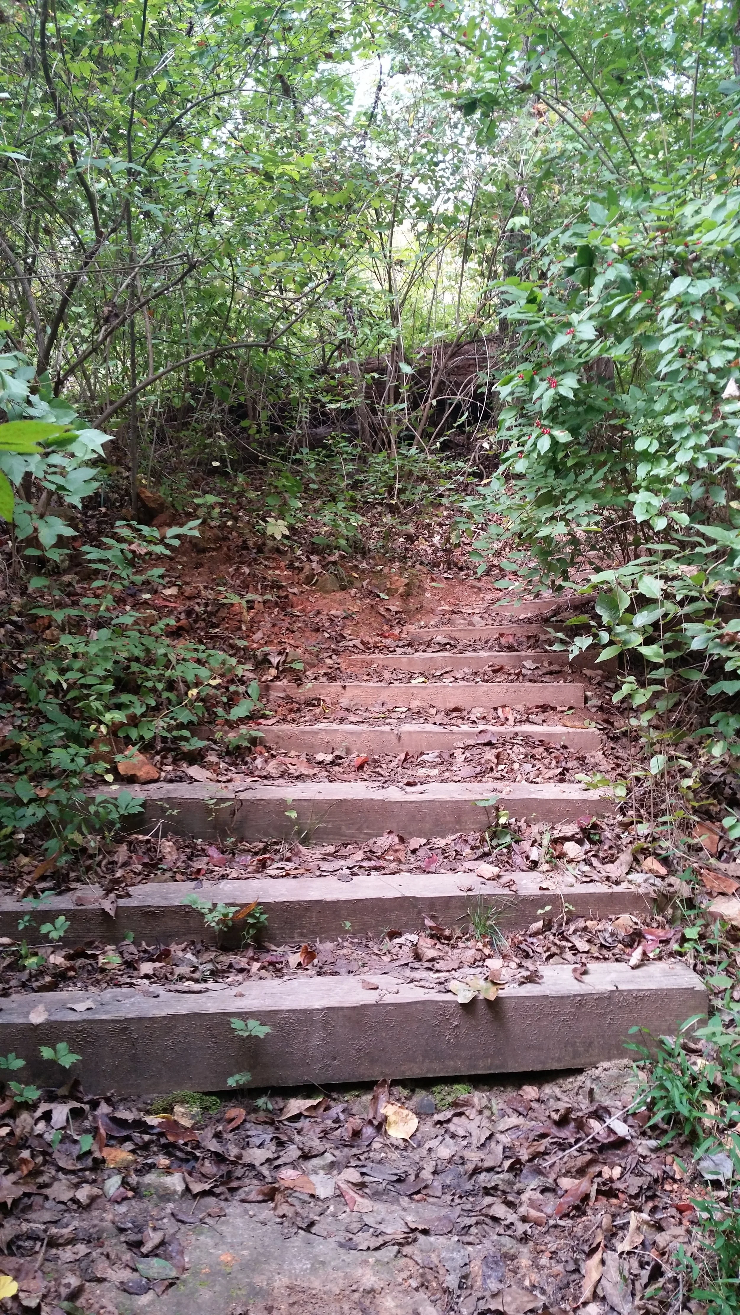 A stairway on the path...an alternate route which is more difficult, but saves a lot of time