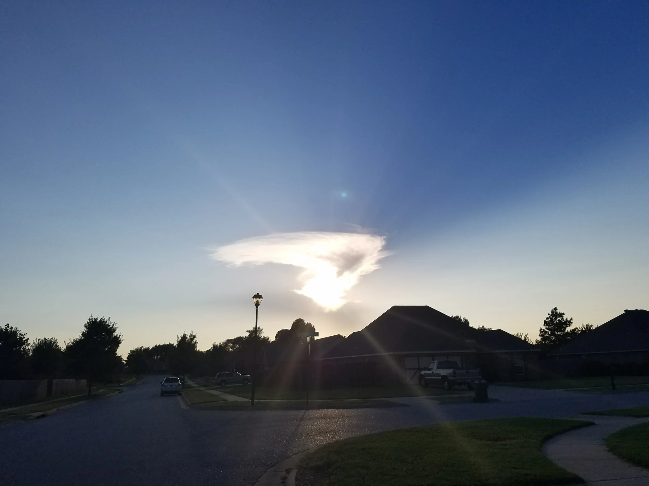 Look for the magic in your life every day! 