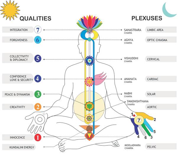 Intuitive Training: Level One