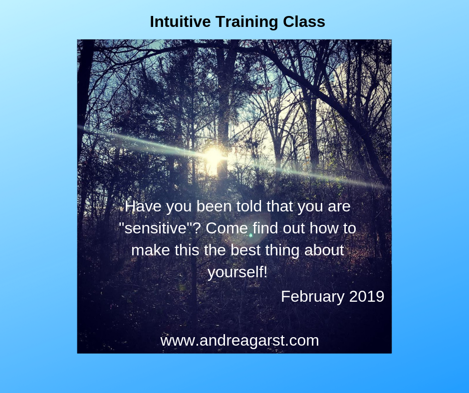 Intuitive Training: February 2019