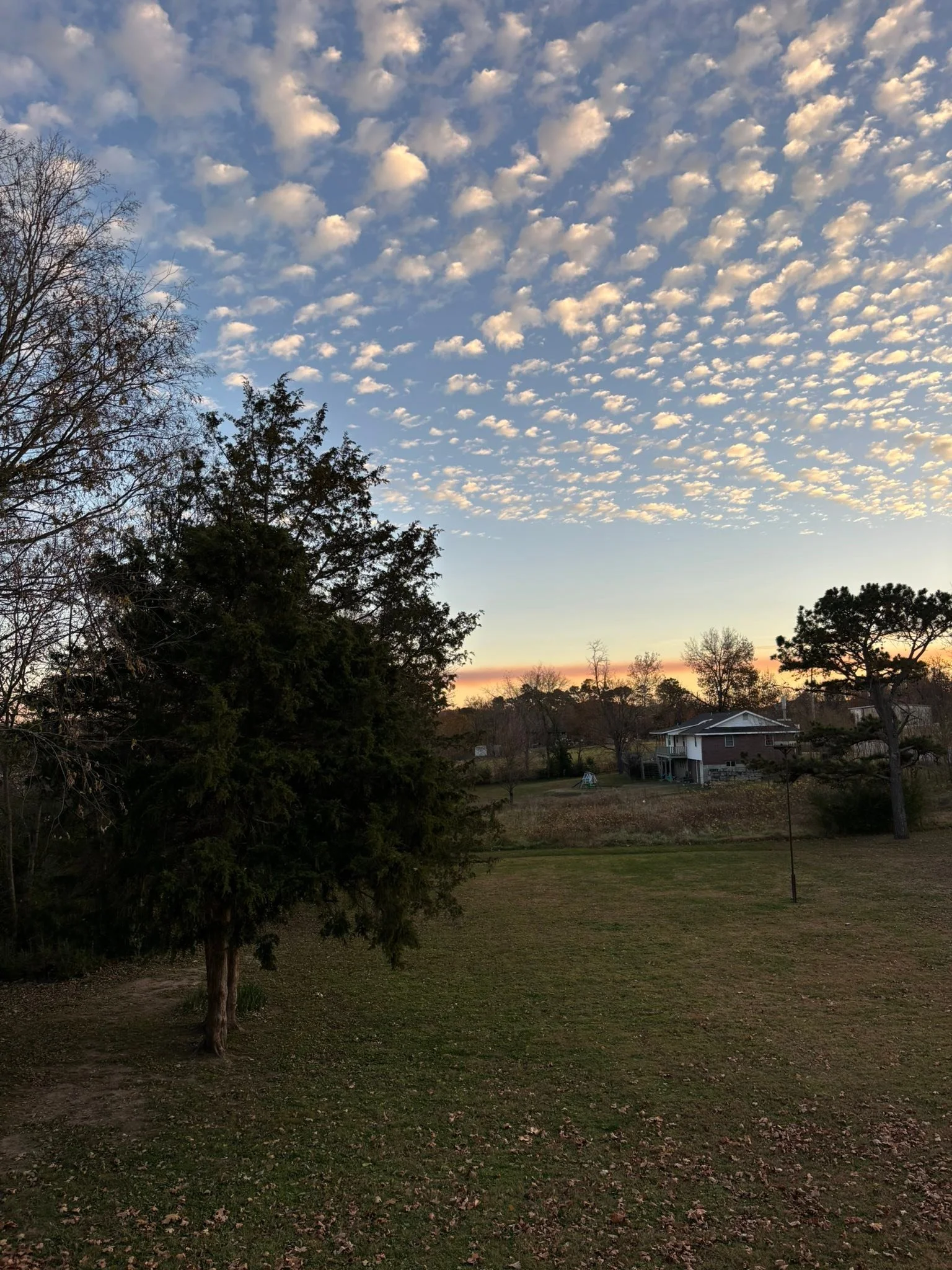 I haven&rsquo;t been on social media much lately because I&rsquo;ve been doing so many other things! 

Sunsets
Animals
Good times with good friends
Family 

These are the things that matter to me 🌟🙏

What matters to you? Where does your energy go e