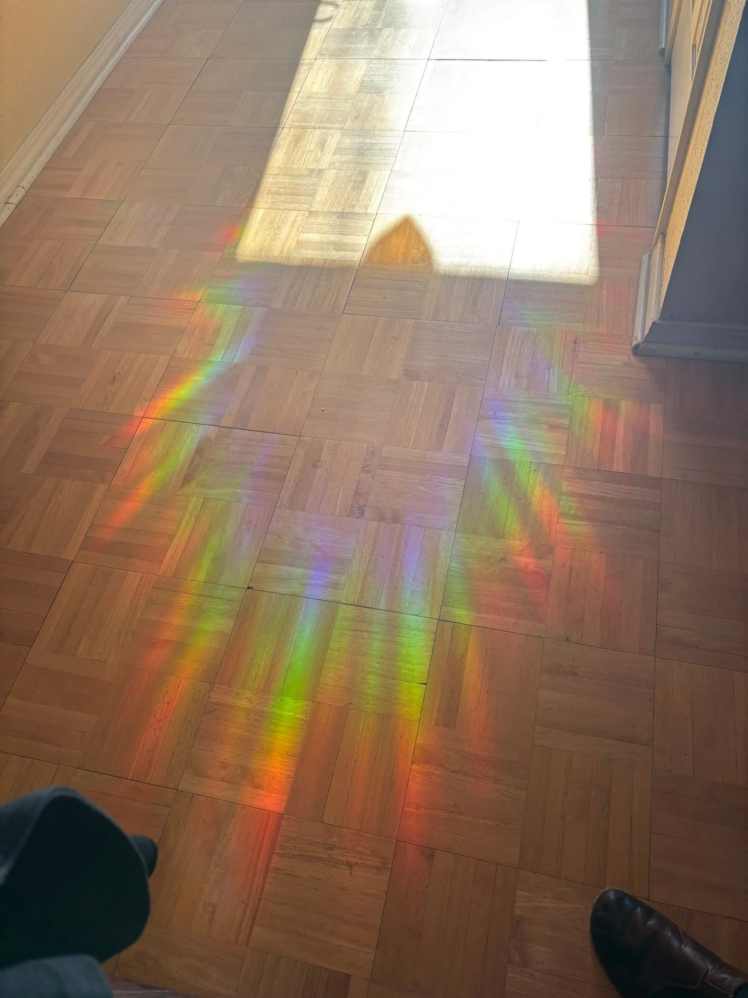 In a world of AI, distrust, disharmony, and more divisive energies, how can you be more present? How can we be grateful and present for the gift of life that we have been given? Choosing joy and playfulness on a daily basis keeps me aligned.

When ev