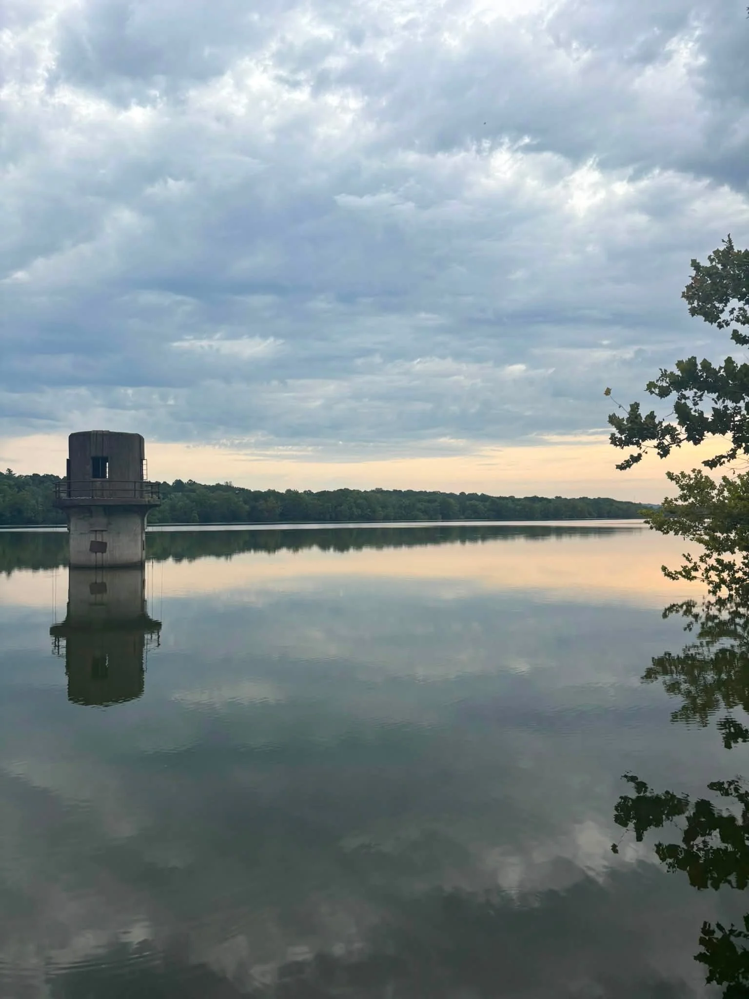 CONTROLLING VS ALLOWING

What does it mean to Allow? 
There is a lot of fear in the collective right now. Old wounds coming up to the surface and all our &ldquo;worst fears&rdquo; being realized. The collective cry of &ldquo;I was right!&rdquo; 

And