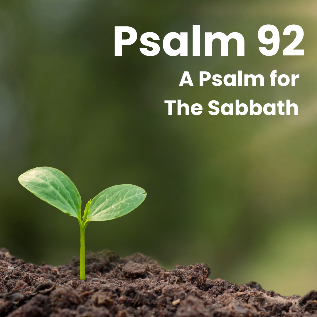 Worship and Rest - Student Minister Josiah Presley