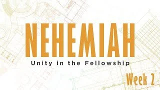 Unity in the Fellowship