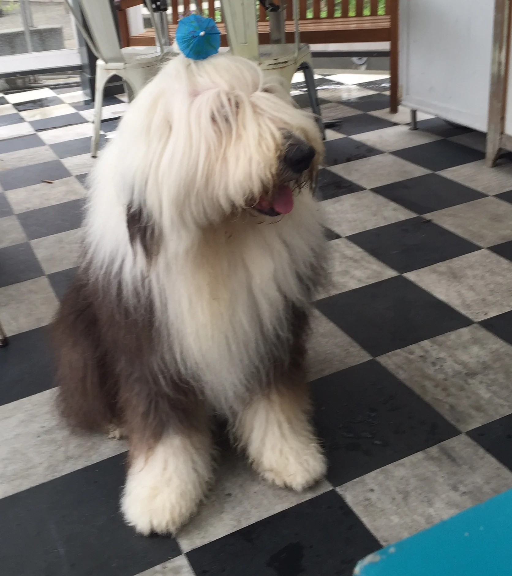  Slurpee with drink umbella holding up pony tail 