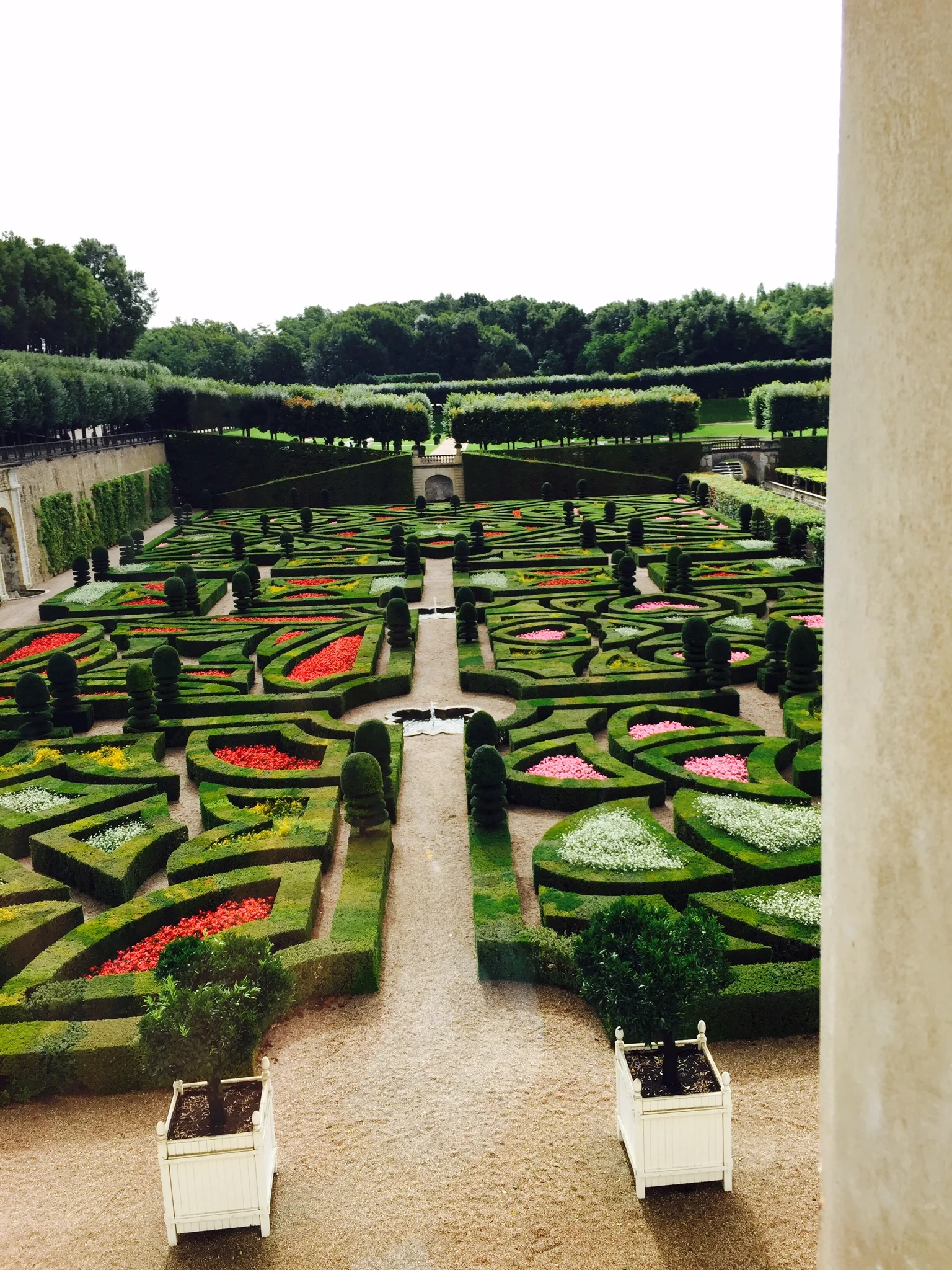  Chateau de Villandry gardens 