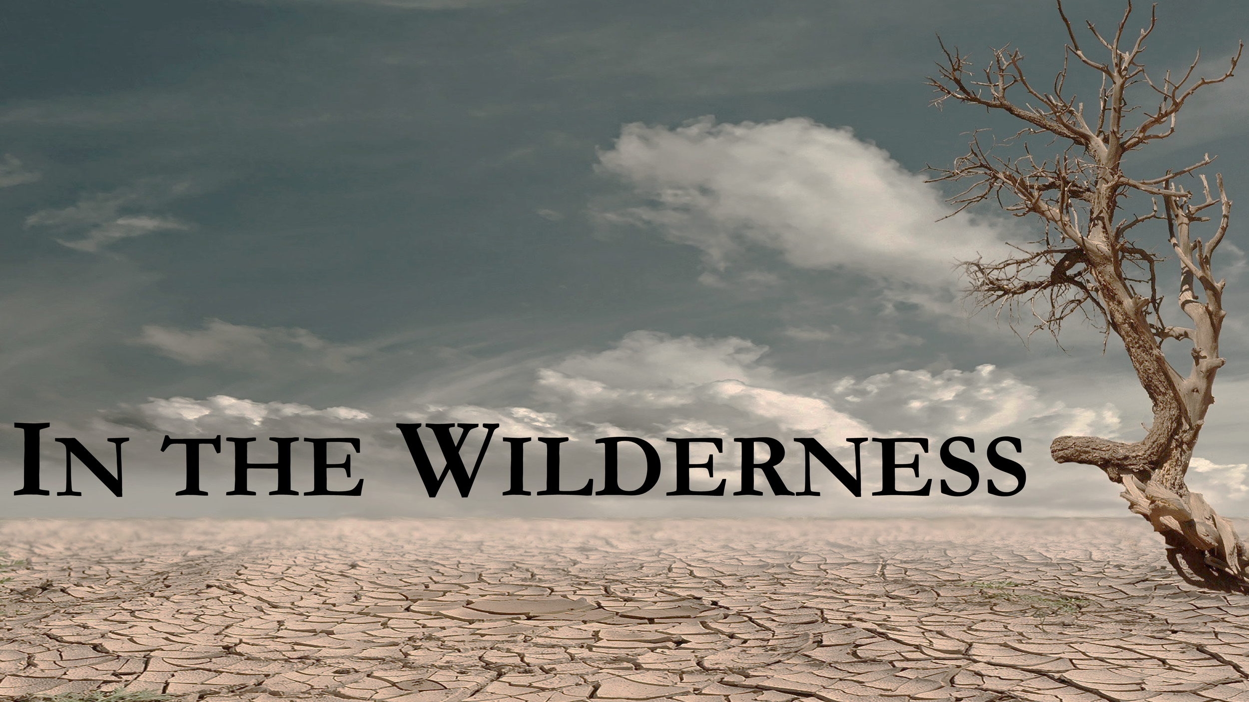 Wilderness (Part 1): Mark 1:1-15 // Blessing in the Wilderness