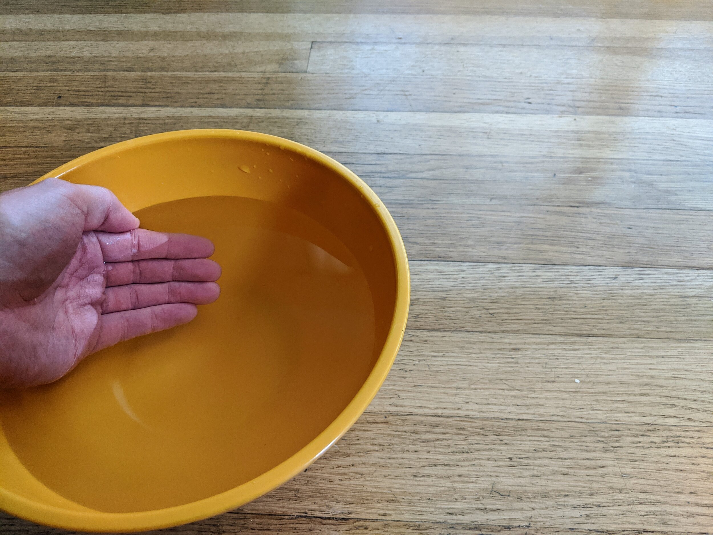 Worship at Home (4/26/20)