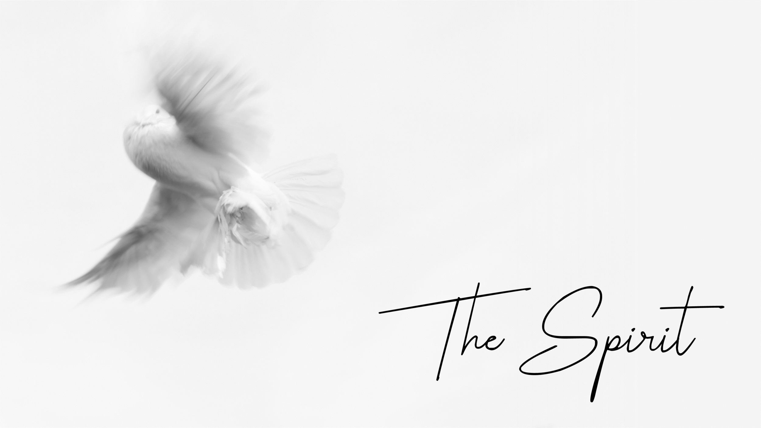 The Spirit