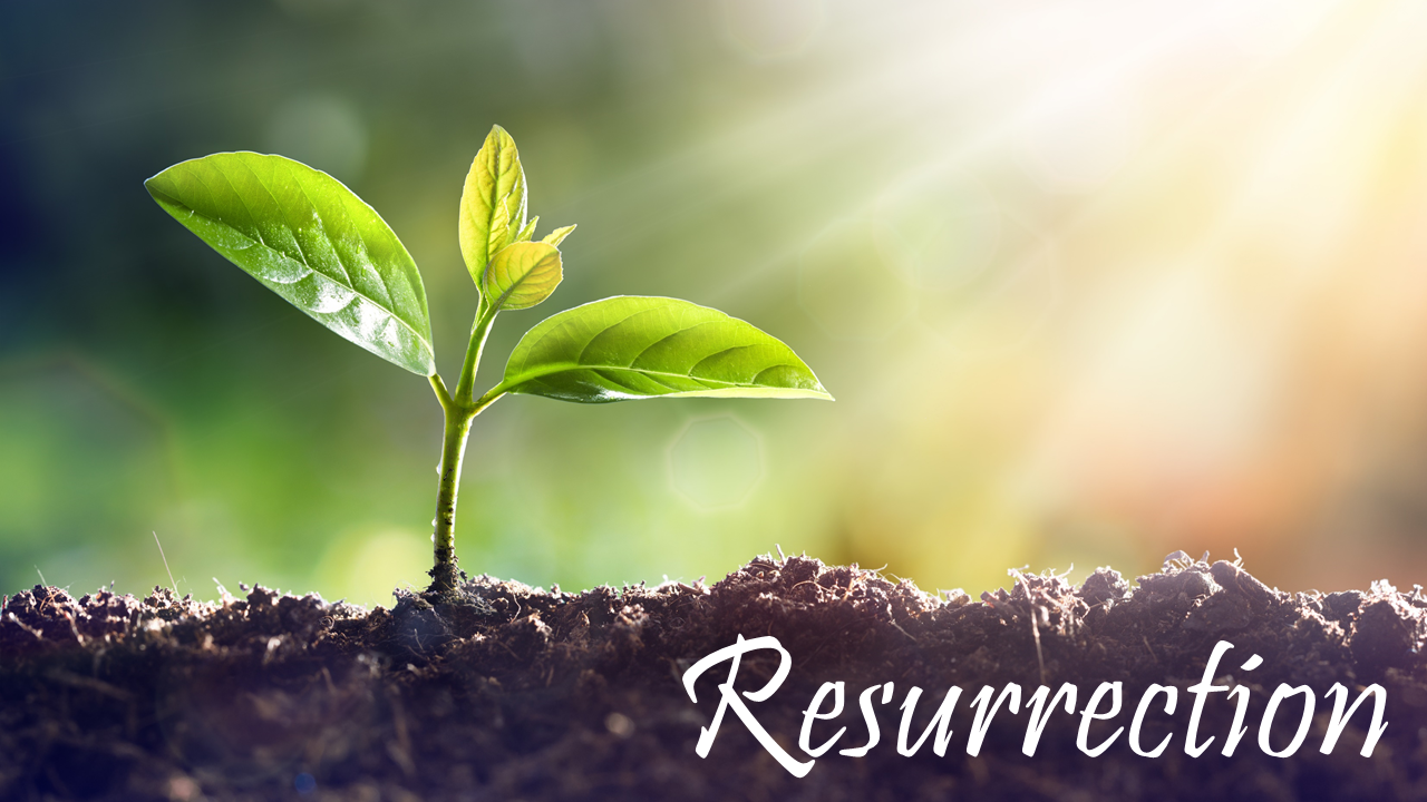 Resurrection (1 Corinthians 15)