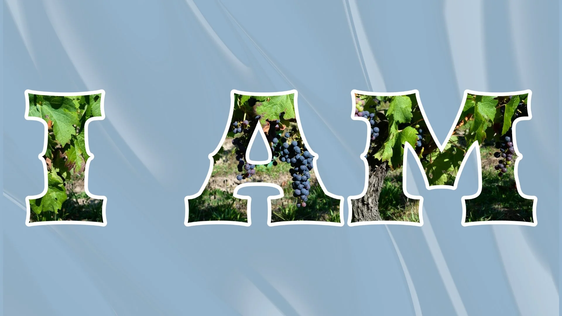 I Am the True Vine // John 15:1-11