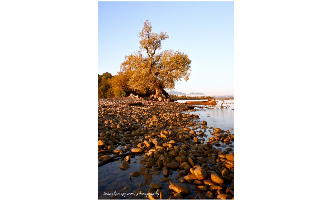 Bildschirmfoto 2019-10-15 um 22.13.22.png