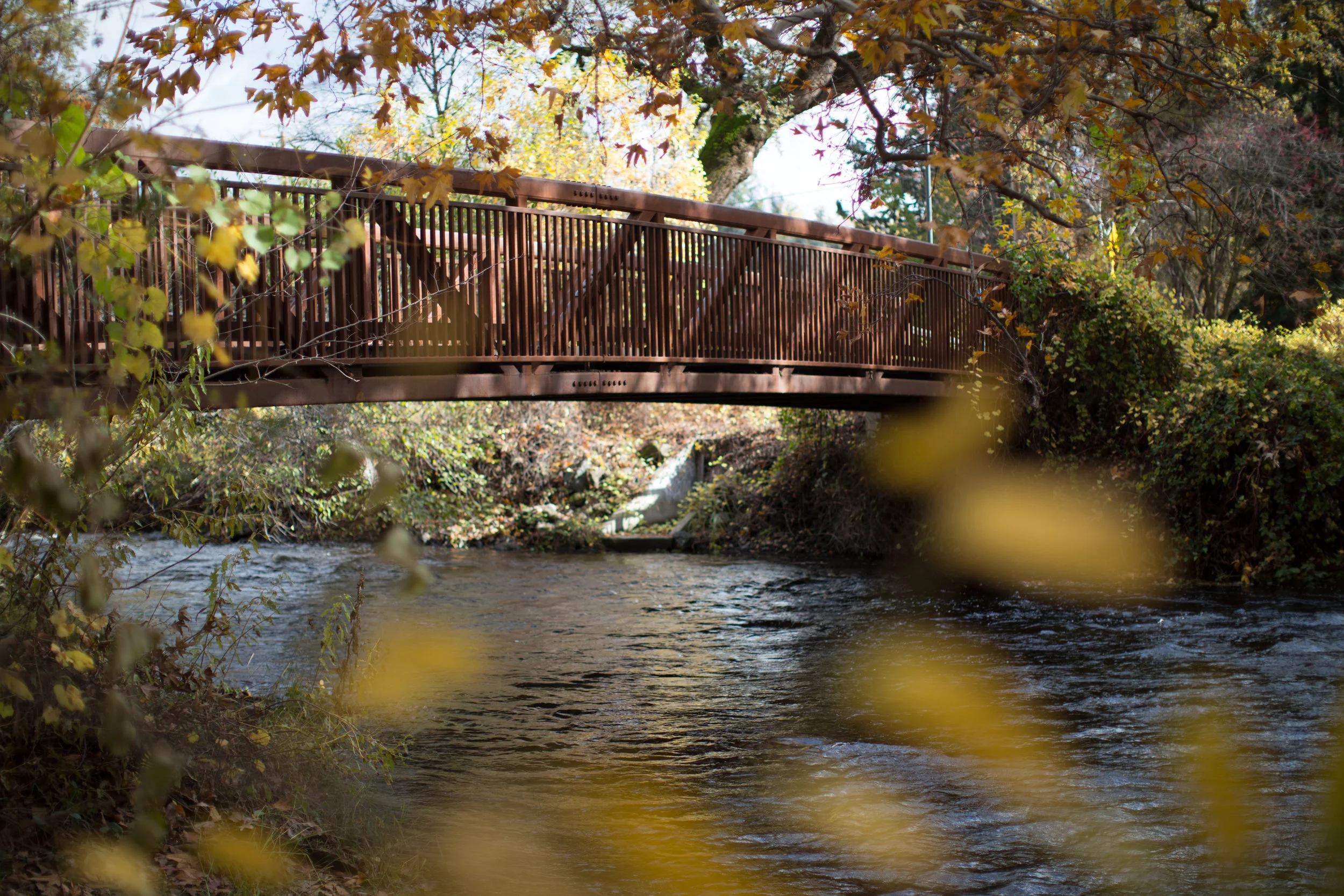Bidwell Park Video Chico California.jpg