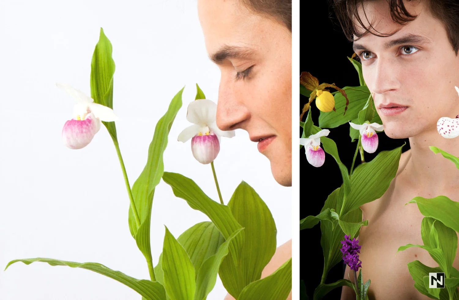 Orchideen mit einem Model präsentiert
