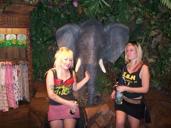 Lindsay and I at that one jungle bar in Vegas. Wearing her Vice Squad shirt and doing what we always do...pet robot elephants.