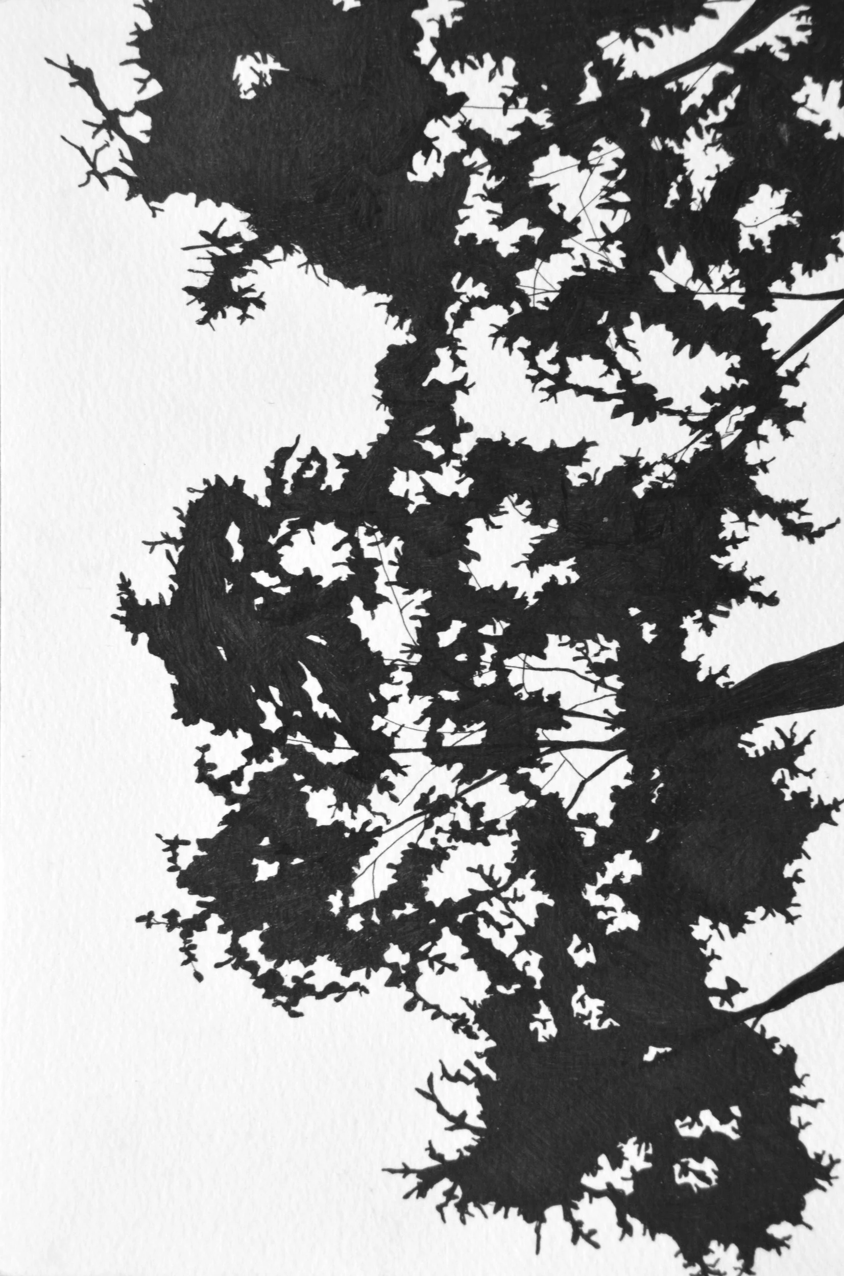 From Below, Pt. 2 , Ink Pen on Paper, 6 x 9", 2018