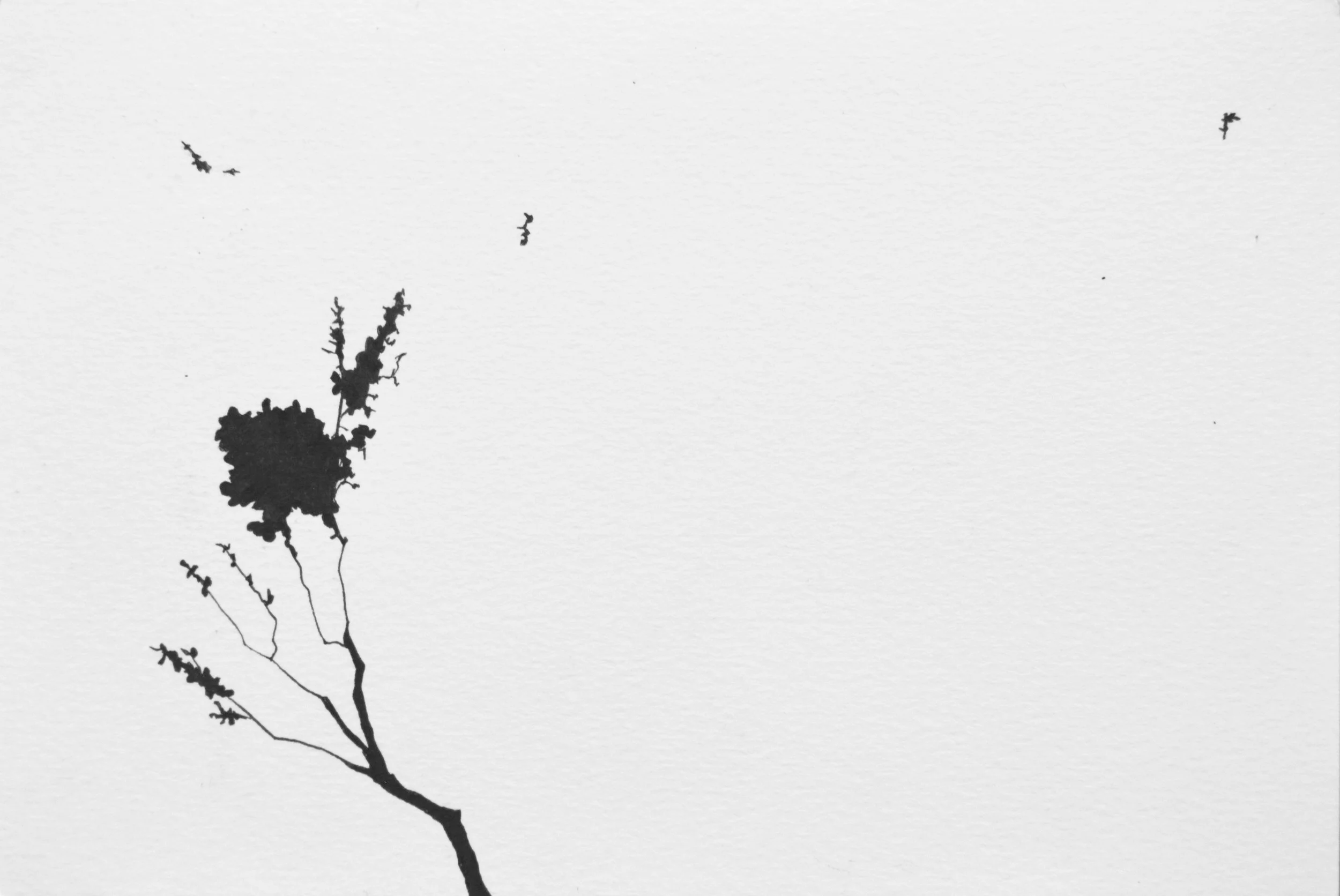Falling , Ink Pen on Paper, 6 x 9", 2018