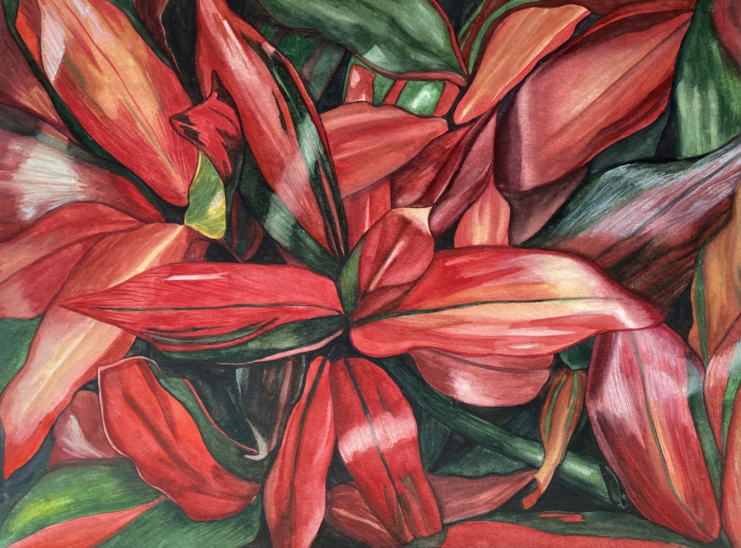   Cordyline fruticosa (Ti plant) , Watercolor on Paper, 9 x 12”, 2020 