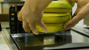 BANANAS — FORD DEALERSHIP