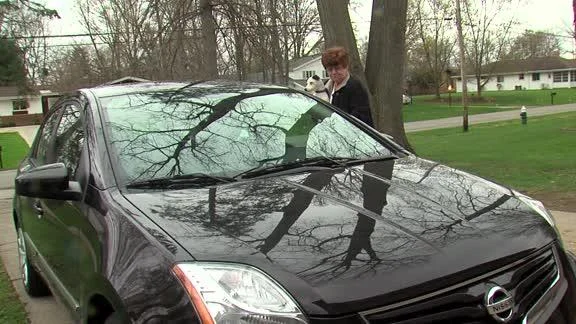 Hey moron, don’t leave your dog in the car or else...