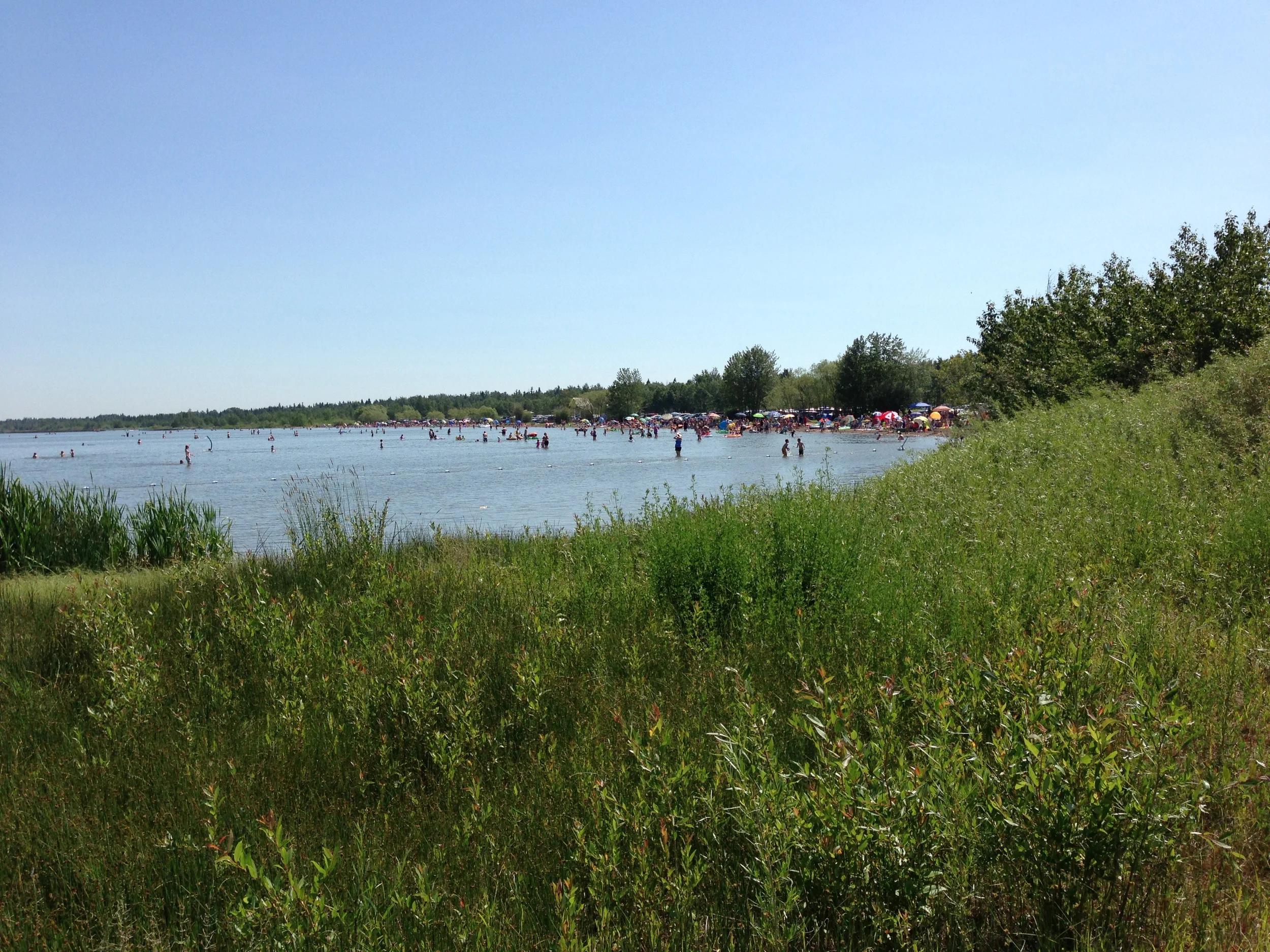 Many Canadian lakes prone to ‘swimmer’s itch’ parasites: what you need to know