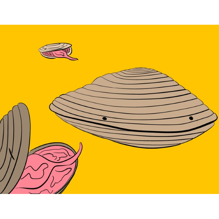 clam-with-pearl-inside-is-mocked-by-laughing-peers-but-unaffected-funny-cute-smart-nyc-digital-art-print-real-weird-art-by-joey-allgood.png