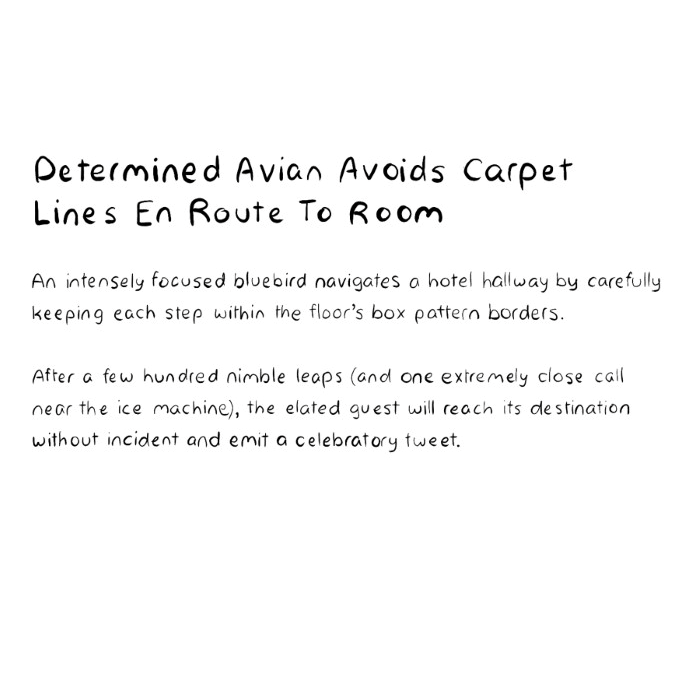 bluebird-with-ocd-obsessive-compulsive-disorder-tries-to-avoid-carpet-lines-description-card-funny-cute-smart-nyc-digital-art-print-real-weird-art-by-joey-allgood.png