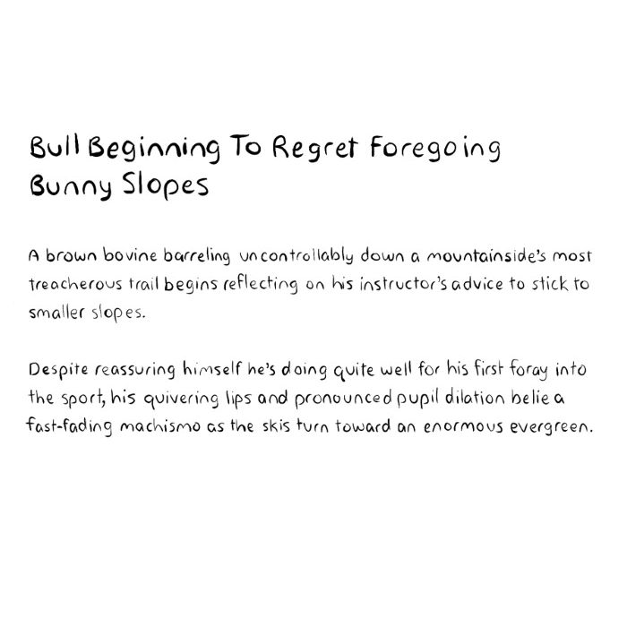 bull-on-ski-slope-too-fast-and-regretting-skipping-training-on-easier-hill-description-card-funny-cute-smart-nyc-digital-art-print-real-weird-art-by-joey-allgood.png