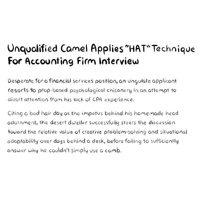 camel-is-unqualified-and-wearing-silly-homemade-hat-to-distract-interviewer-at-accounting-firm-description-card-funny-cute-smart-nyc-digital-art-print-real-weird-art-by-joey-allgood.png