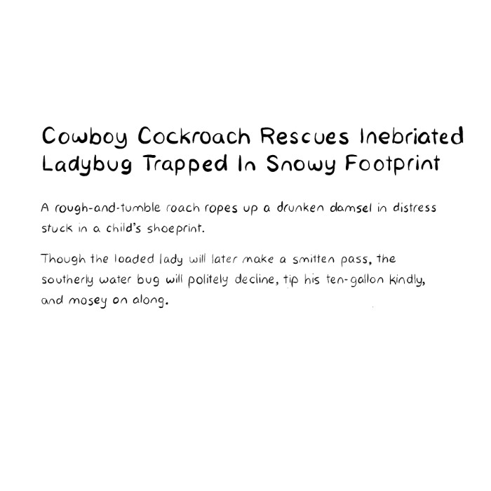 cockroach-cowboy-uses-rope-to-rescue-drunk-lady-bug-from-snowy-footprint-description-card-funny-cute-smart-nyc-digital-art-print-real-weird-art-by-joey-allgood.png