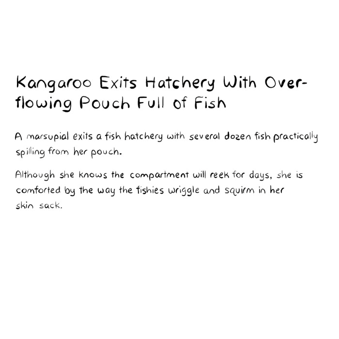 kangaroo-leaves-a-hatchery-with-fish-overflowing-from-her-pouch-description-card-funny-cute-smart-nyc-digital-art-print-real-weird-art-by-joey-allgood.png