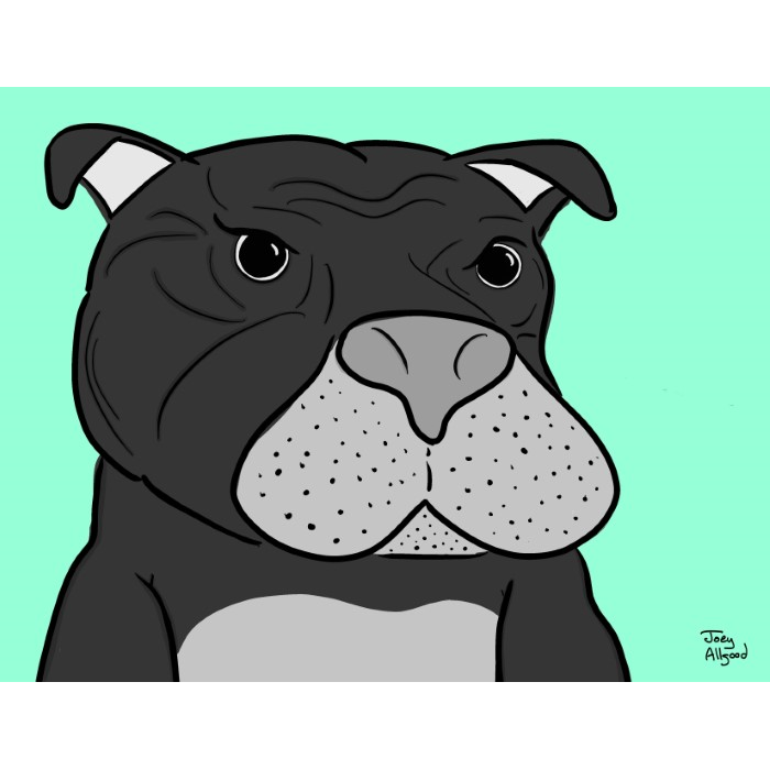 pitbull-is-sad-that-its-face-creates-impression-it-is-not-friendly-resting-bitch-face-image-funny-cute-smart-nyc-digital-art-print-real-weird-art-by-joey-allgood.png