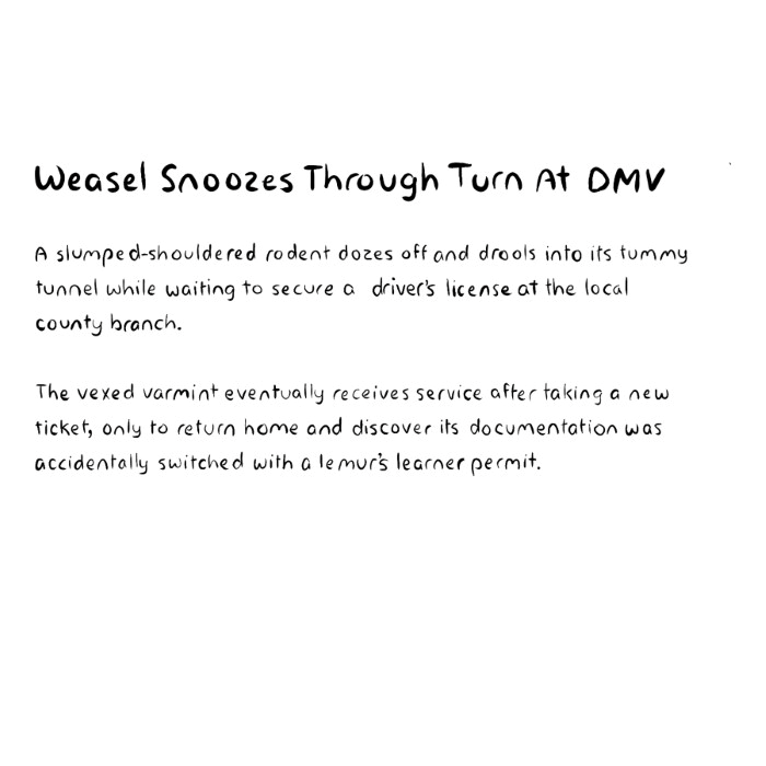 weasel-sleeps-through-turn-at-dmv-as-drool-falls-into-belly-button-description-card-funny-cute-smart-nyc-digital-art-print-real-weird-art-by-joey-allgood.png