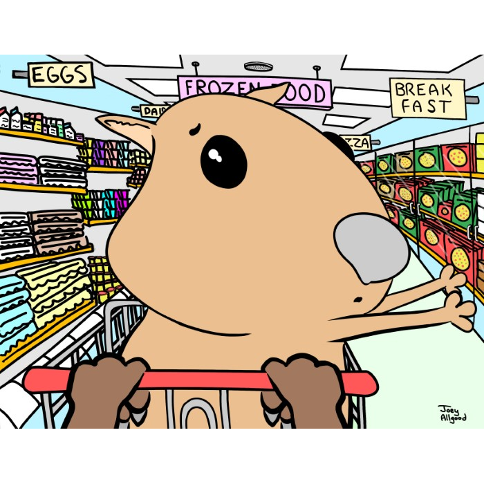 wombat-baby-reaches-in-vain-for-waffles-while-parent-shops-for-groceries-images-funny-cute-smart-nyc-digital-art-print-real-weird-art-by-joey-allgood.png