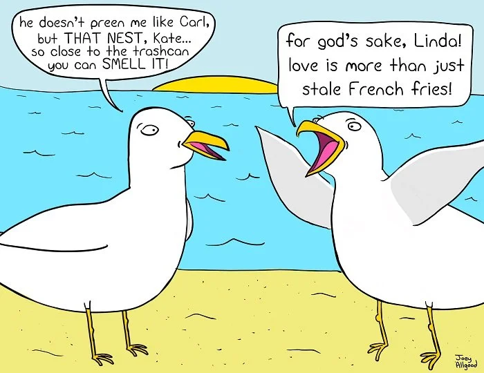 birds -seagulls.jpg