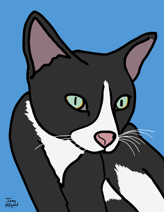 kitty.png