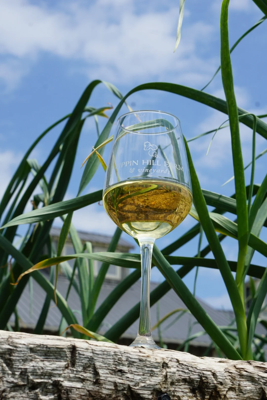 Virginia Food + Wine Trip Recap