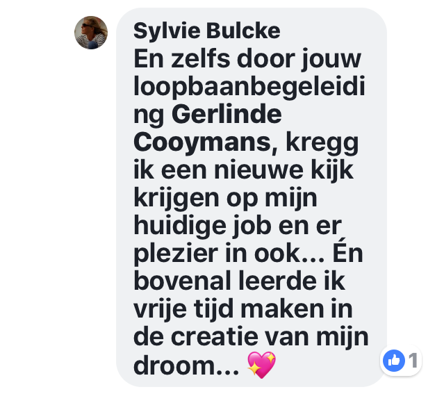 Testimonial Sylvie Bulcke.png