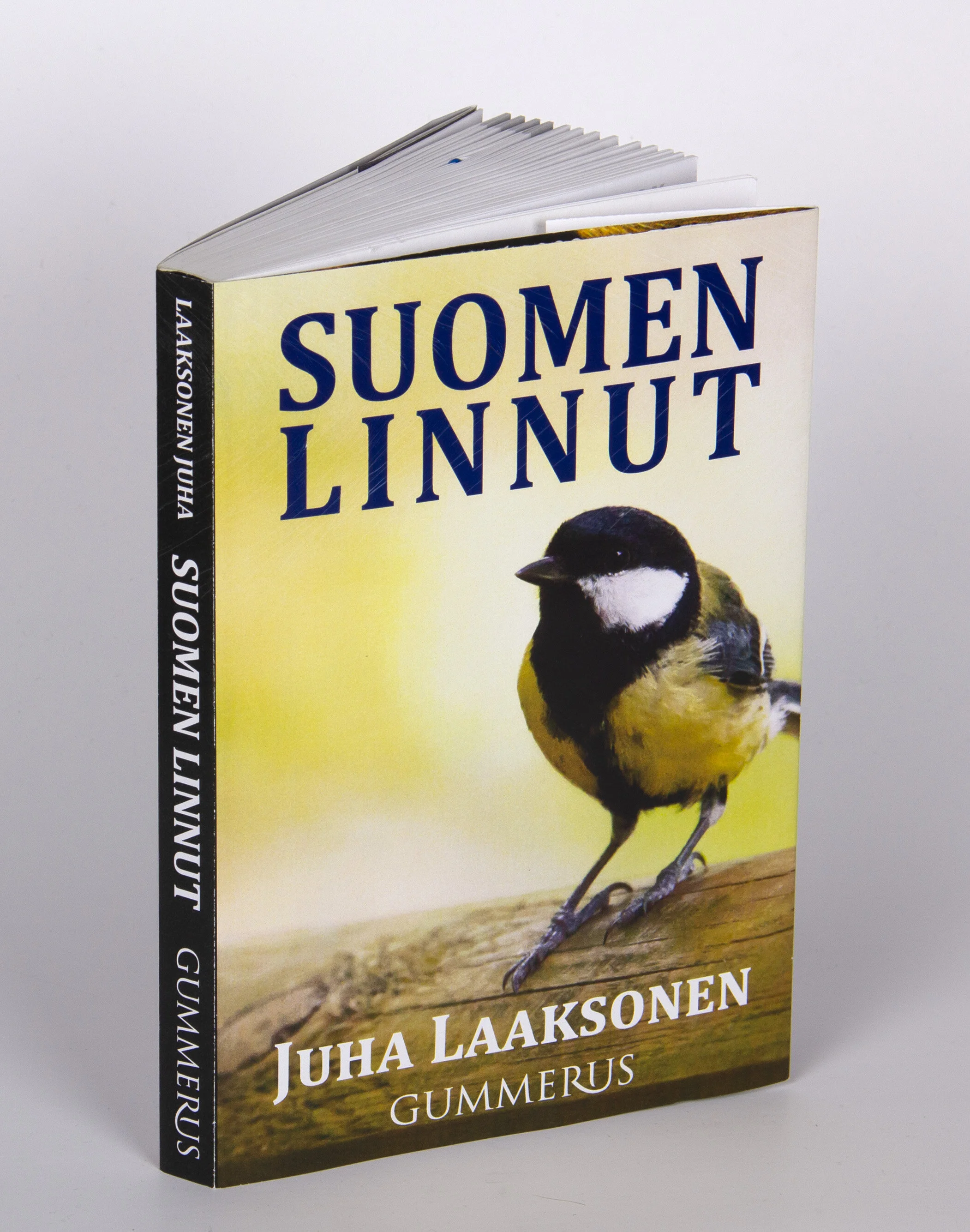 Front cover of a practice work, where we were tasked with redesigning the covers for a bird book with appropriate imagery. In addition, the taking of product photos was also practiced. This was NOT an official design for the publisher Gummerus or the author.