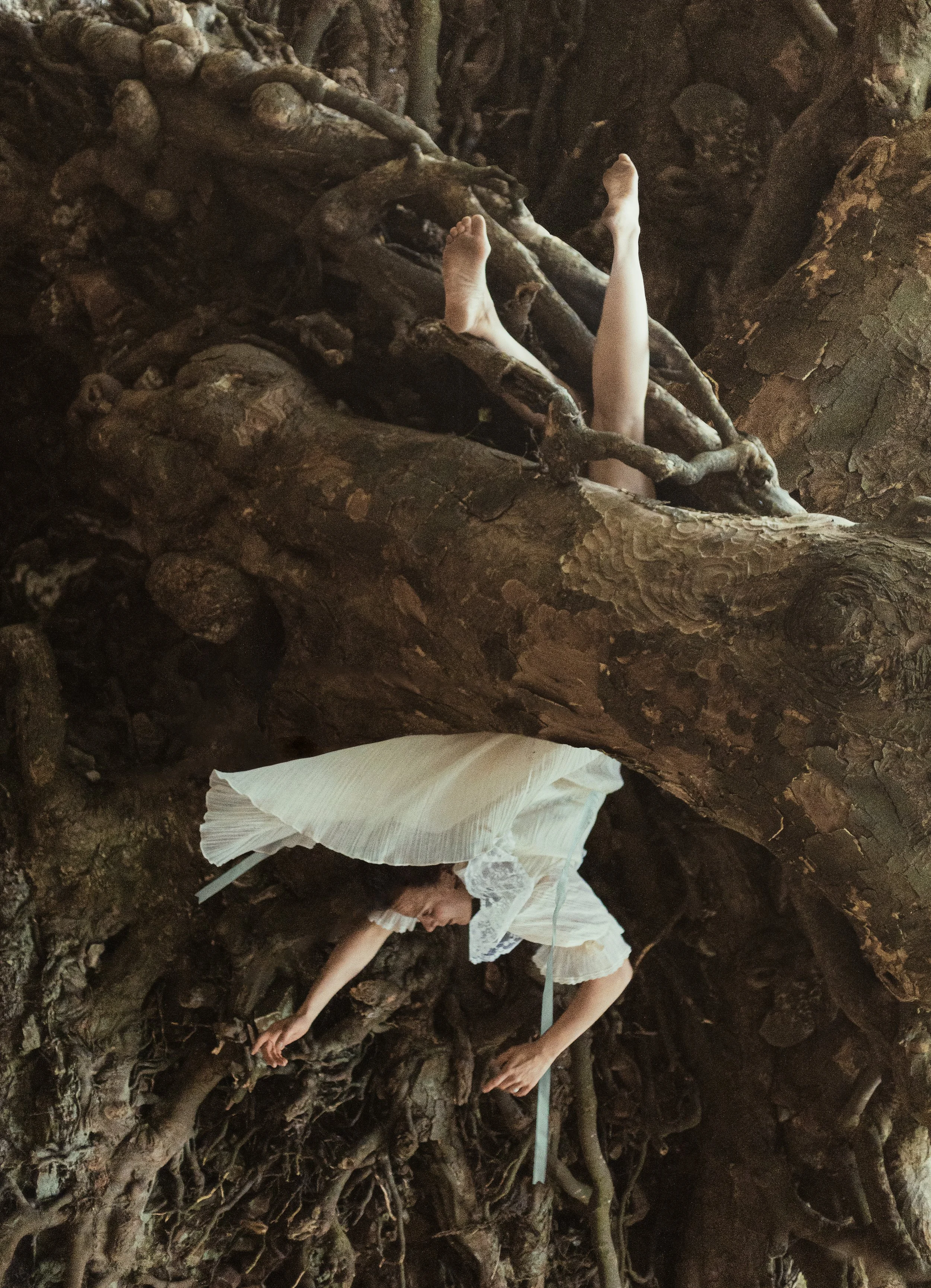 Through the Looking Glass.jpg