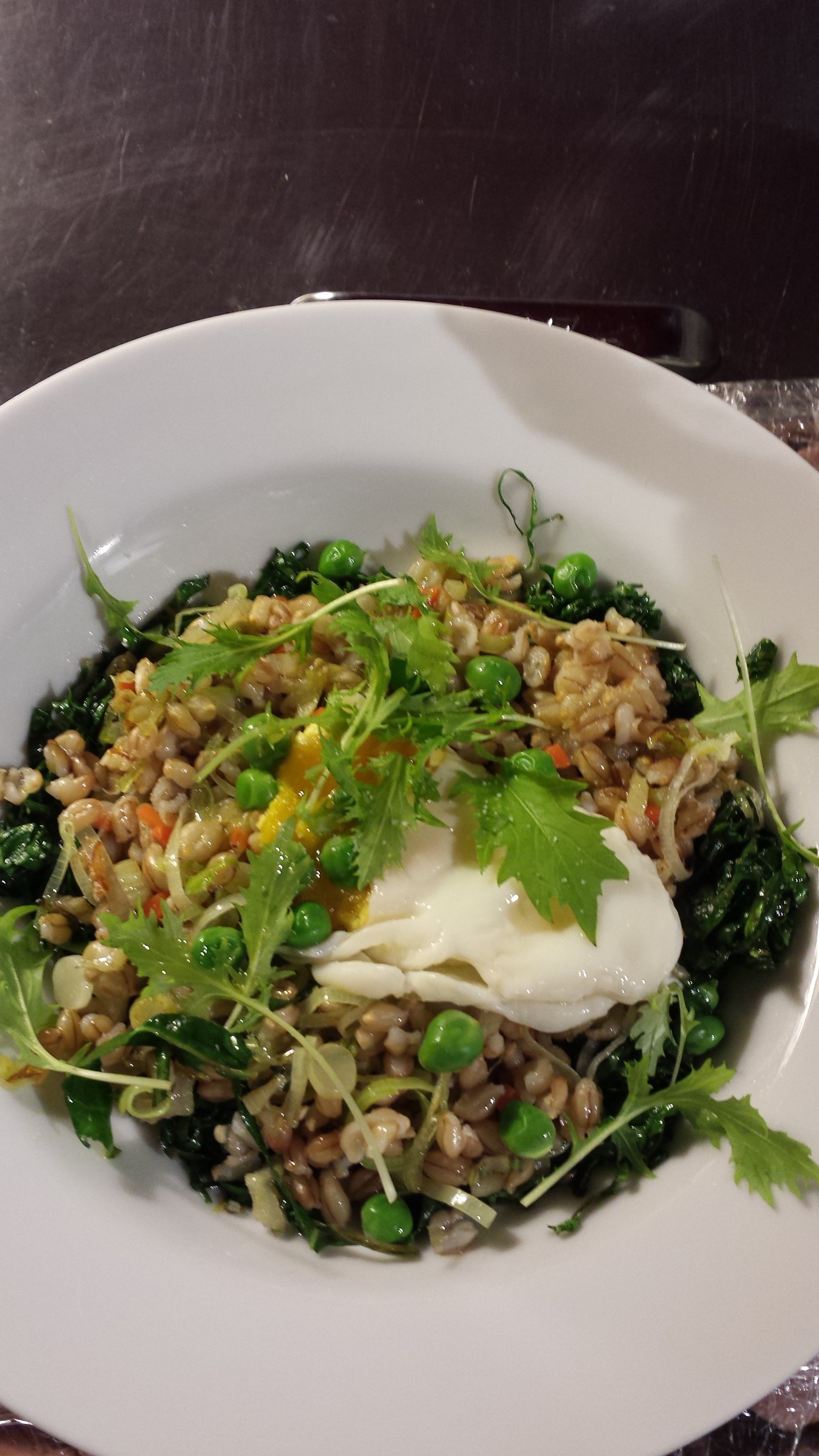 " We grew Tamalpais barley this year and it's really good. I boiled it until cooked through, and then pan fried it with olive oil, mashed green garlic, and parsley...then deglazed with Meyer lemon juice and finished with Maldon salt and olive oil. It was creamy and crunchy and garlicy-delicious." This dish is topped with herbs, peas, a soft boiled egg and finished with bone broth. All in a nest of sautéed kale. 