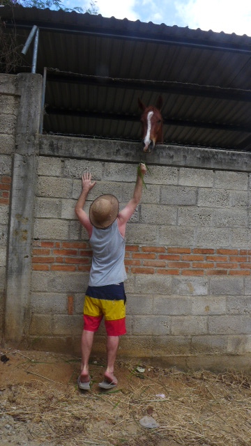 Erik feeding a horse en route to Playa Muertos