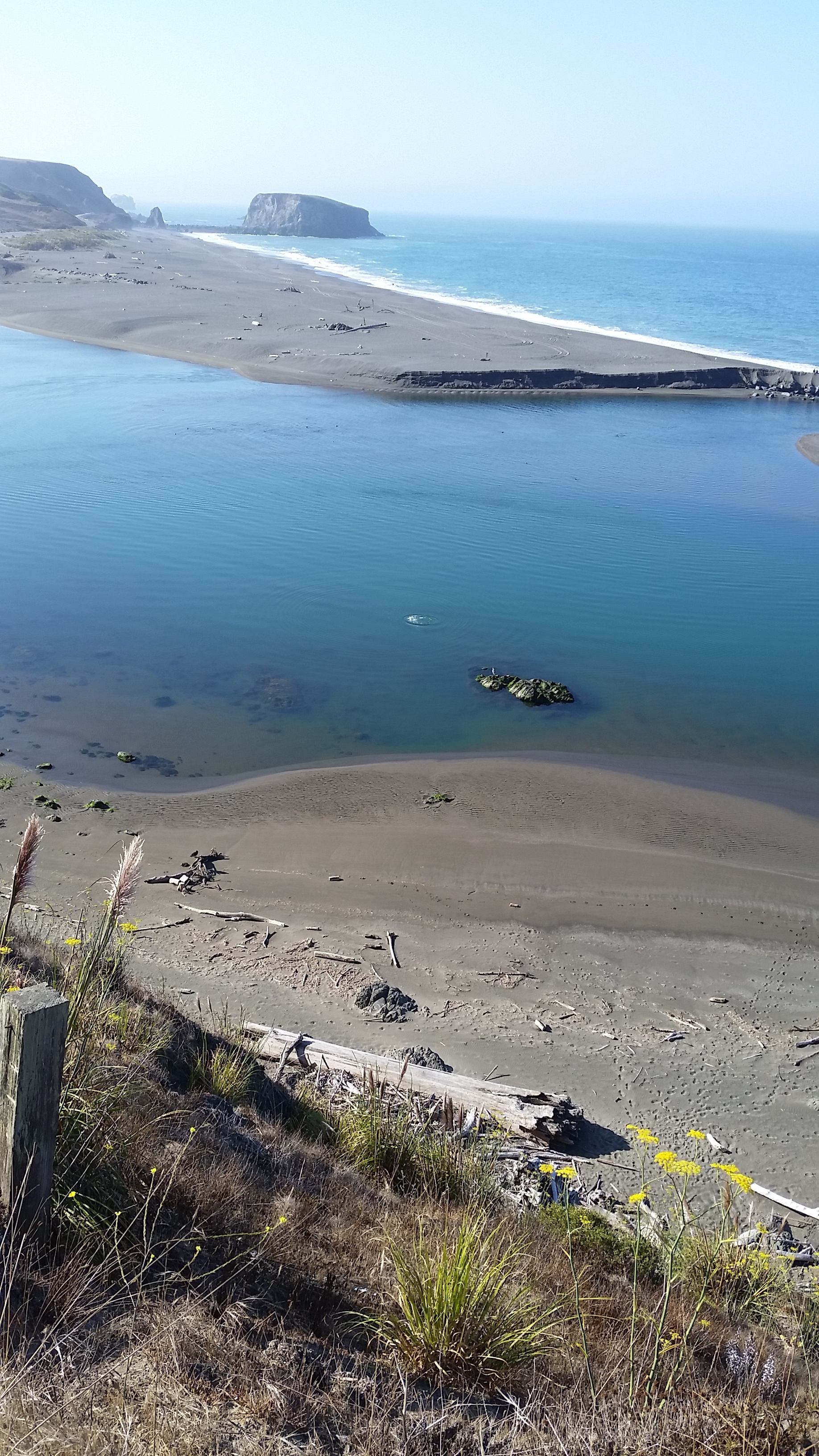 The veiw from the hill just past the Jenner Inn. That little circle in the water is a seal! We watched a whole pack of them frolic for about 15 minutes. 