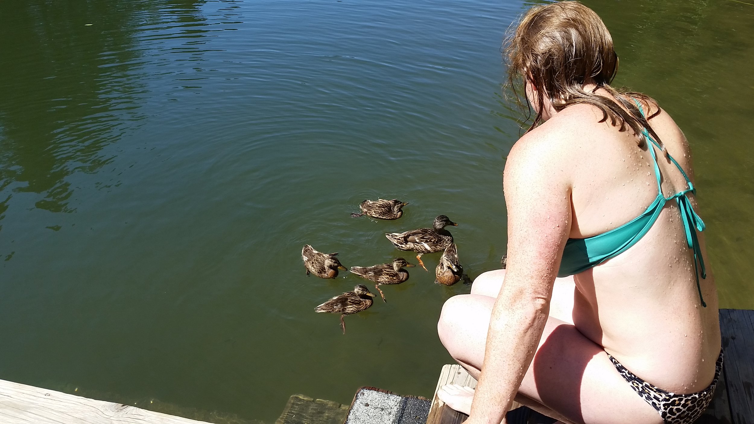 Little duckies on the Russian River! 