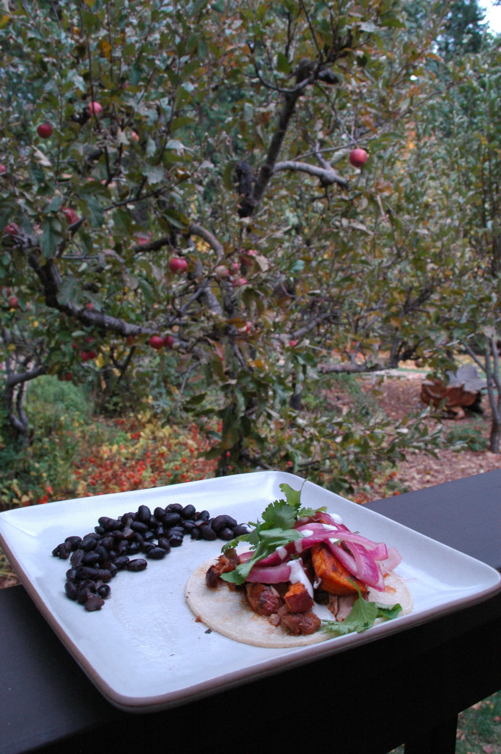 Chicken taco and black beans