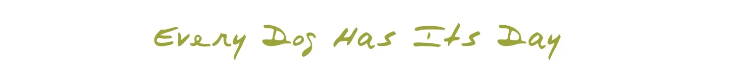 Homepage Text Banner.jpg