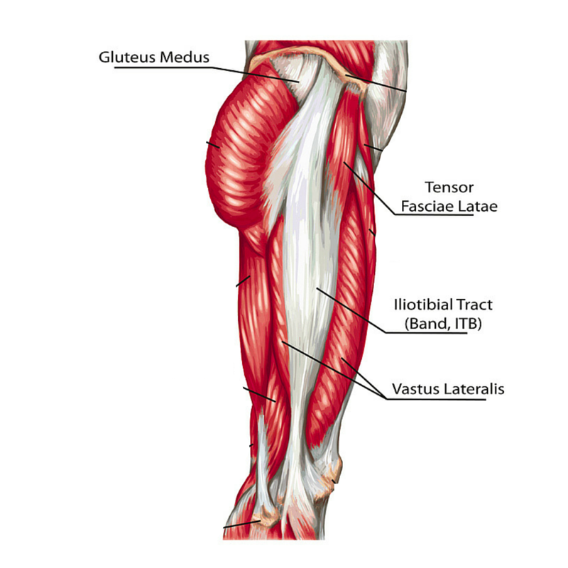 Lower leg pain running diagram